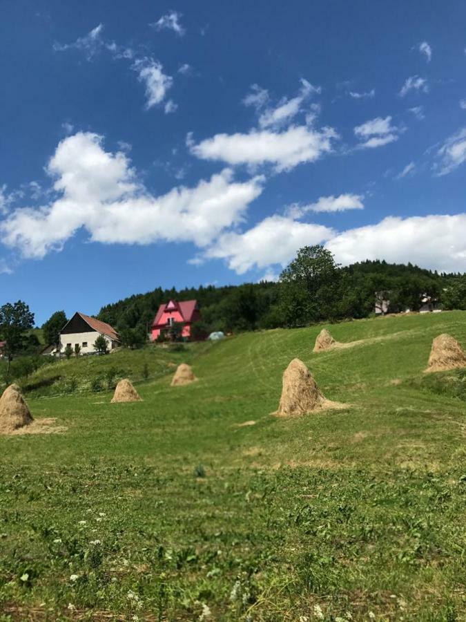 Malinowy Domek Mlynczyska Luaran gambar